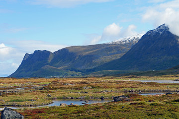 Fototapeta na wymiar Berge und Wasser auf den Lofoten