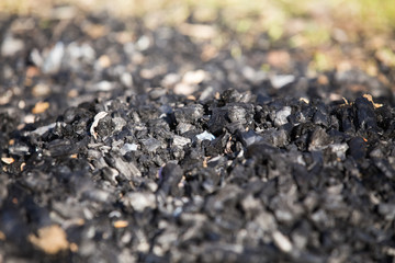 Natural wood charcoal biomass for energy