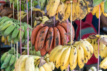 Different sorts of bananas sold on a market