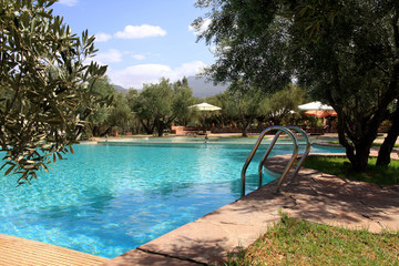 piscine et jardin