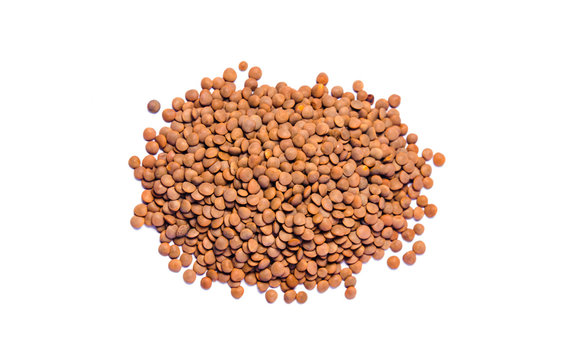 Brown Lentils/ Masoor Also Know as Masoor /Brown Gram, Sabut masoor, Raw lentil, Pakistani/Indian beans isolated on white Background