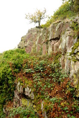Saarschleife zwischen Mettlach und Dreisbach