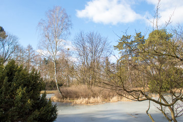 Bright spring park Poniatowski in Poland in the city of Lodz, spring park, frozen lake and ducks