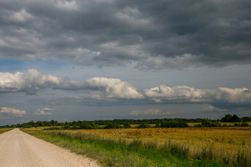 Fototapeta na wymiar Landscape with empty rural road.