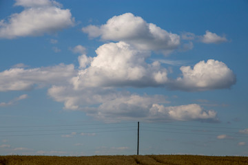 Fototapeta premium Landscape with field and cloudy blue sky.