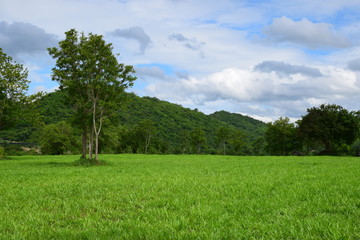 Green field near the hill 