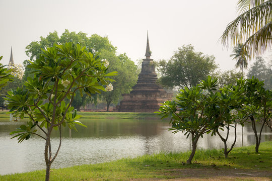 Tree Garden in the Sukhothai historical Park, Sukhothai province. Thailand