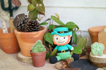 Happy Saint Patrick's Day. A cute crochet doll of leprechaun and a lucky shamrock ginger bread cookie with the gardening tools, plants and cactus. Happy St. Patrick's day concept.
