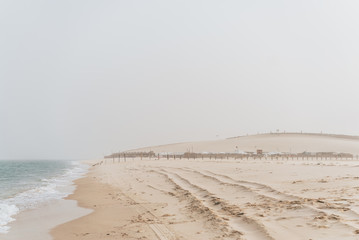 beach and sea with desert in Qatar