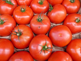 Rote Tomaten sortiert