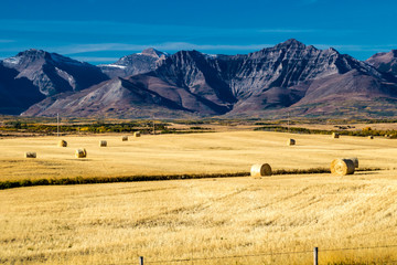 Farmers fields in the shadow of the rockies, Municipal District of Pincher Creek, Alberta, Canada