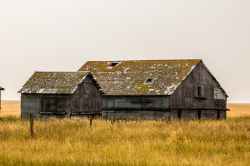 Fototapeta na wymiar A sign of the times, run diown farm out buildings and barns, Alberta, Canada