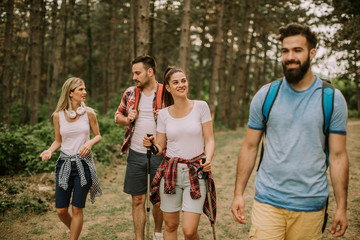 Obraz premium Group of four friends hiking together through a forest