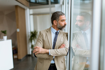 Portrait of senior businessman by the window