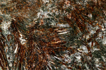 Macro mineral stone astrophyllite white background