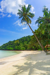 Seascape with white sand and coconut tree