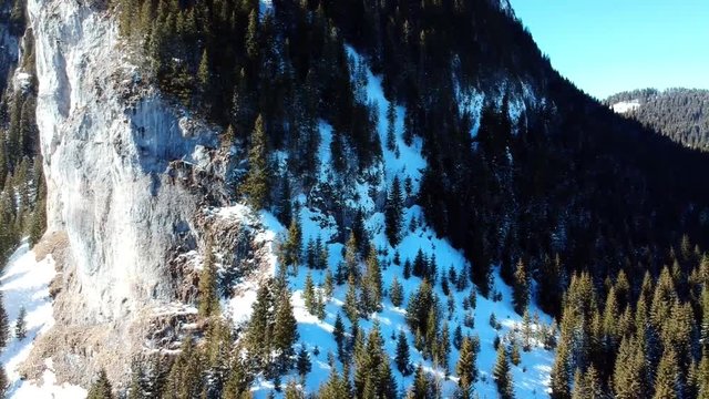 Spectacular rock limestone wall covered with fir trees , alpine landscape in Zanoaga Gorge, Bucegi Natural Park , Romania, aerial drone shot in winter