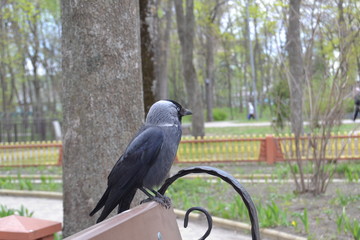 environment/ окружение