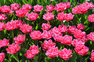 environment/ окружение