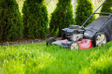 Lawn mower cutting backyard green grass