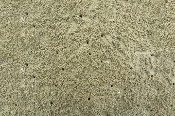 Beach sand texture with ghost crab hole