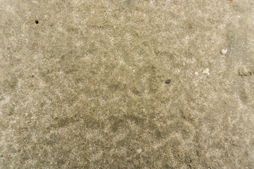 Beach sand texture with ghost crab hole