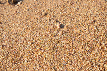 Fototapeta na wymiar sand sand. on the seashore yellow sand.