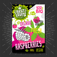 Food labels stickers set colorful sketch style fruits, spices vegetables package design. Raspberries, berries, berry, Organic, fresh, bio, eco. Hand drawn vector illustration.