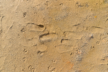 Fototapeta na wymiar Sand soil texture with track for background