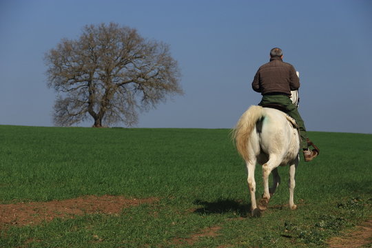 A cavallo nel Parco di Veio
