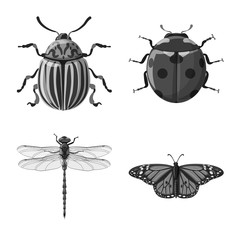 Isolated object of insect and fly logo. Collection of insect and element stock symbol for web.
