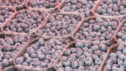 5704_Lots_of_blueberries_on_every_basket.jpg
