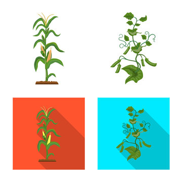 Vector illustration of greenhouse and plant icon. Set of greenhouse and garden vector icon for stock.