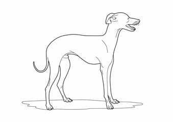 Drawing of a cute dog