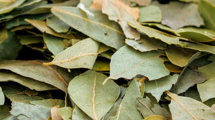 5712_Lots_of_laurel_leaves_used_for_cooking.jpg