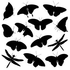 Vector set of isolated tropical butterflies and dragonflies silhouettes in black color on white background. Illustration for design.