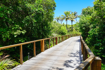 Obraz na płótnie Canvas Perspective of wood bridge in deep tropical forest. Wooden bridge walkway in rain forest supporting lush ferns and palms trees during hot sunny summer. Praia do