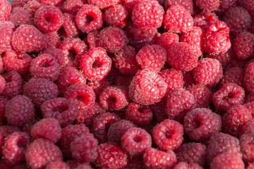 Background from fresh ripe red raspberry berries. Close-up, top view. Flat lay.