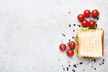 Tasty sandwich with tomatoes and pepper spices on wooden table