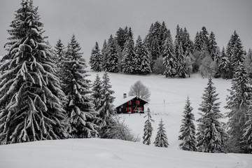 maison dans neige