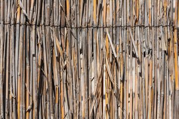 Texture of the fence of reeds close-up.
