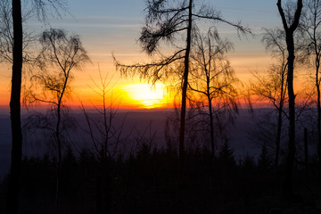 Sonnenuntergang im Siegerland mit Bäumen
