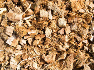 texture of coconut shell backgrounds images	