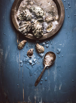 Oysters on Ice