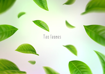 3d realistic isolated tea leaves circling in a whirlwind