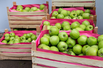 green apples in a wooden box