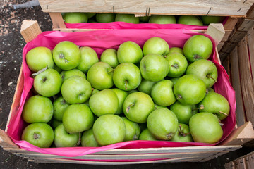 green apples in a wooden box