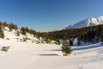 Fototapeta na wymiar Winter landscape of the Tatra Mountains. Poland.