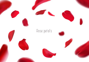3d realistic isolated red rose petals circling in a whirlwind - obrazy, fototapety, plakaty