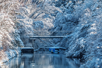 snow covered branches and river isar in the sun